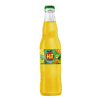 Hit Naranja Piña 250 ml Retornable
